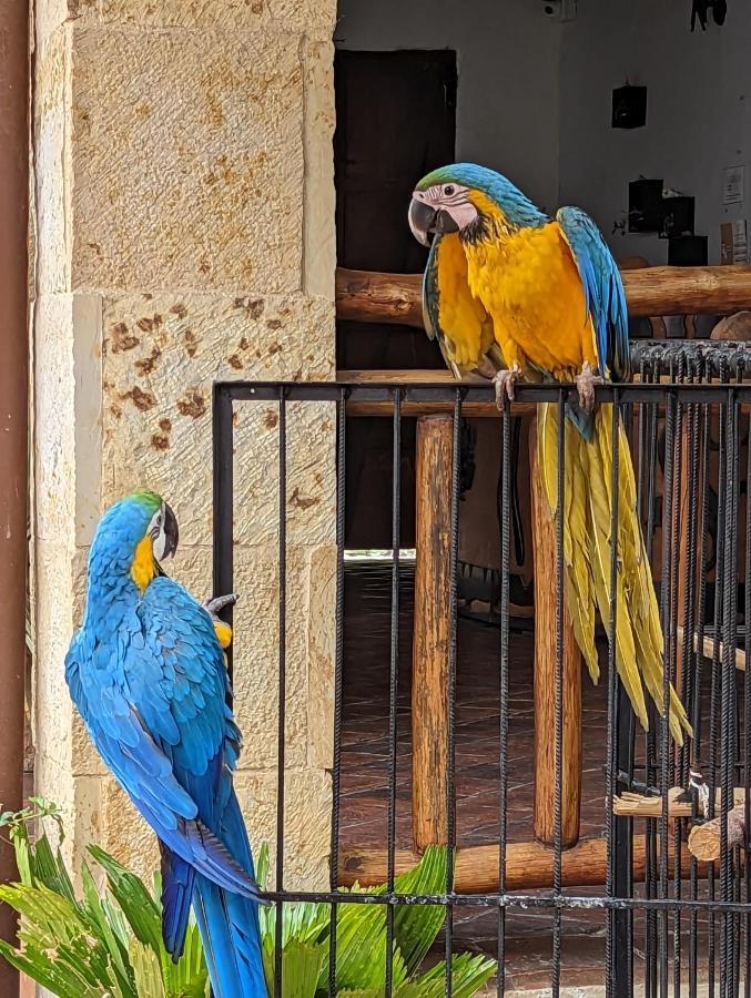 Las Cabezas Grises บาริชารา ภายนอก รูปภาพ